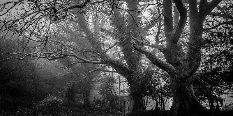 从灵感到镜头:掌握故事板绘制技巧,让视频制作效率翻倍