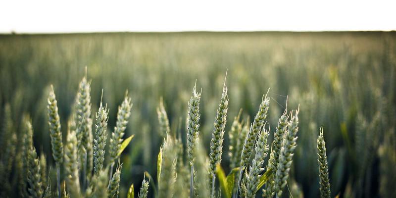 分镜脚本:视频制作的视觉蓝图,如何用它提升拍摄效率与叙事清晰度