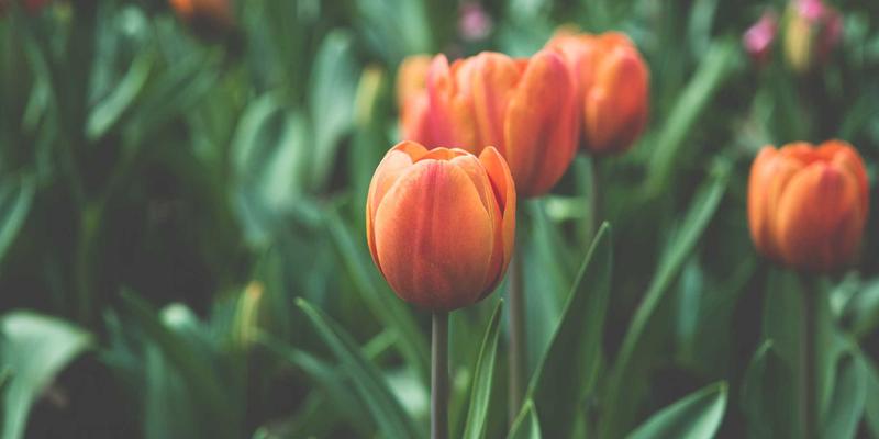 告别“后期救音”!影视级现场录音全攻略:从设备到技巧,让易得视频拥有专业级声效